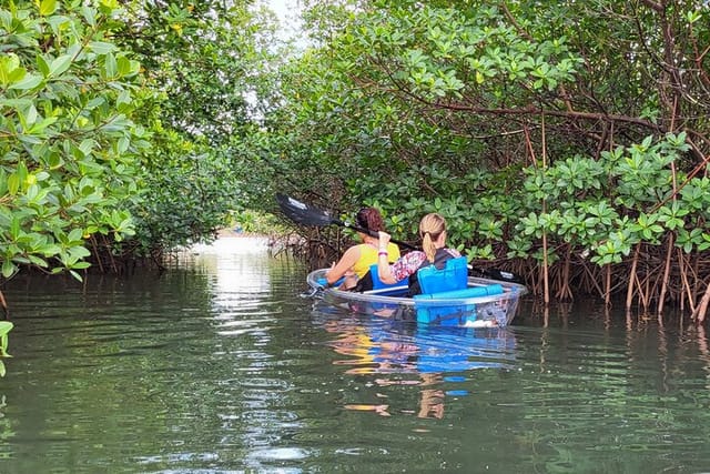 Clear Kayak Eco Tour in Jupiter, Florida - Photo 1 of 14